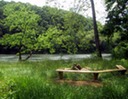 Bonfire ring by the river