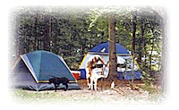 camping at Camp OutBack