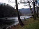 Shenandoah River front at Angler, Drifter and Paddler cabins