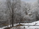 Hawksbill Greenway in Luray