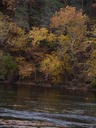 late Fall by the Shenandoah River