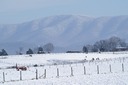 Page Valley in the snow
