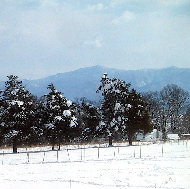 snowview2