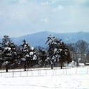 Shenandoah mountains